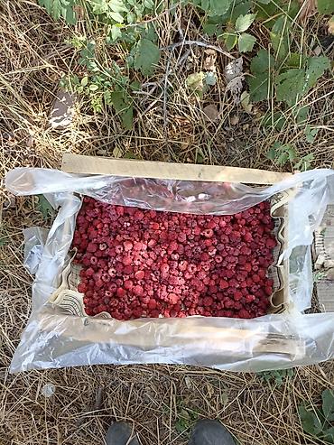 Продажа участков: 4500 соток — 3