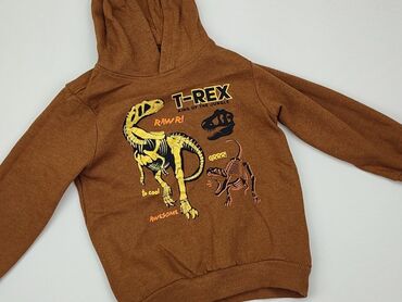 Sweatshirts: Sweatshirt, 4-5 years, 104-110 cm, condition - Very good