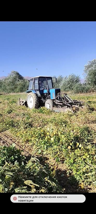 claas jaguar 690: Беларус 82.1 сатылат абалы жакшы баасы 450000 сом. фасоль жулгучу — 1