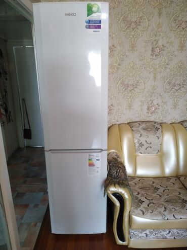 холодильник атлант 6025: Холодильник Beko, Двухкамерный