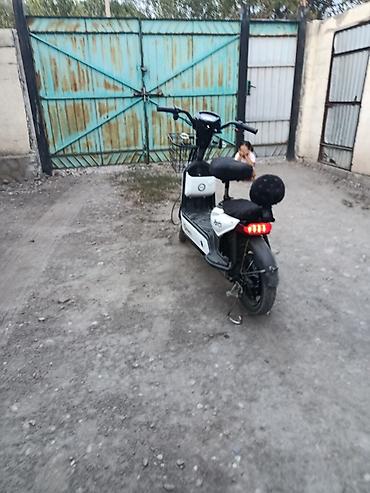 sea lion ev: Электроскутер Panda (белый)в хорошем состоянии, запас хода хвотает до — 2