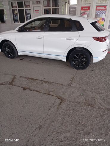 BYD: BYD E2: 2021 г., Автомат, Электромобиль, Хэтчбэк — 6