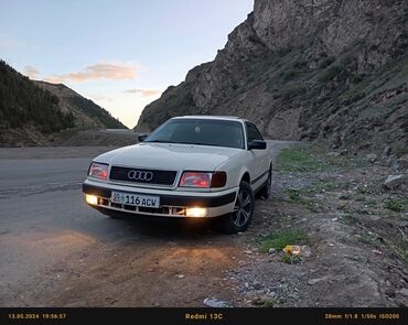 Audi: Audi 100: 1991 г., 2 л, Механика, Бензин