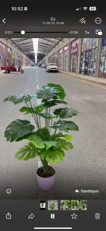 Süni güllər: Dekorativ süni ağaclar dəsti - Model 1: Varlıqlı yarpaqlı dekorativ — 38