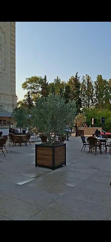 taxta dibcək: Metal karkaslı taxta dekorativ küvet/qutu tipli ağac dibçəkləri - — 4