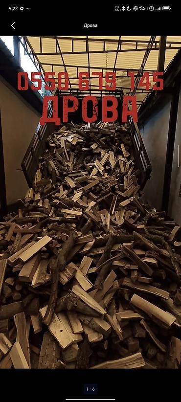 Товары для пикника: Дрова Карагач — 1