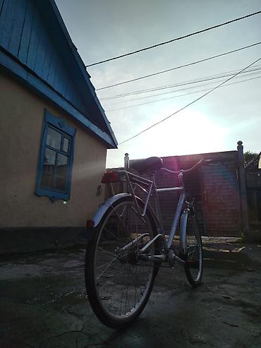 Городские велосипеды: Городской велосипед, Рама M (156 - 178 см) — 3