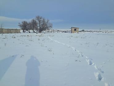 Продажа участков: 20 соток, Для сельского хозяйства, Красная книга, Тех паспорт — 6