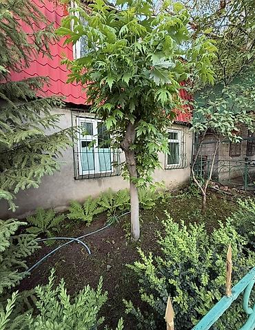 🏡Продается дача в Горной Маявке (ООС Магисталь). Удобный заезд — 7