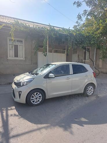 лобовое на хендай солярис: Kia Morning: 2018 г., 1 л, Автомат, Бензин, Хэтчбэк — 2