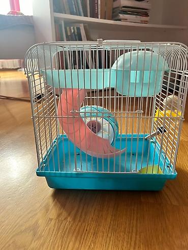 qefes satisi: Hamster qəfəsləri. Ayrı ayrı satılır. ikisin bir götürəndə endirim — 1