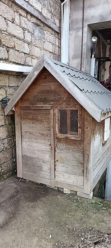 çöl iti: Taxta təsərrüfat evciyi / quşxana - Material: tamamilə taxtadan — 3