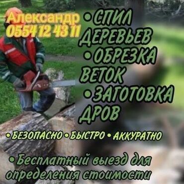 спилить дерево: Выезд в Бишкек,Шопоков,Александровка,Беловодск и далее до самых
