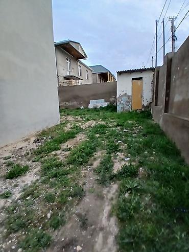 Həyət evləri və villaların satışı: 7 otaqlı, 450 kv. m, Kredit var, Yeni təmirli — 4