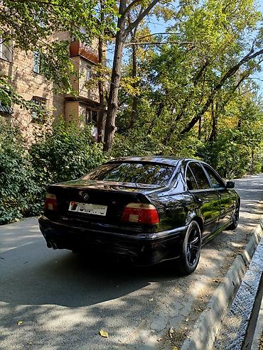 m3 e46: BMW 5 series: 2002 г., 2.5 л, Механика, Бензин, Седан — 8