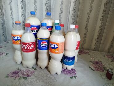 Молочные продукты и яйца: Тааза 💯 Кымыз Жалалабадтын Каралма Жайлоосундагы Ункур Эмчек Деген