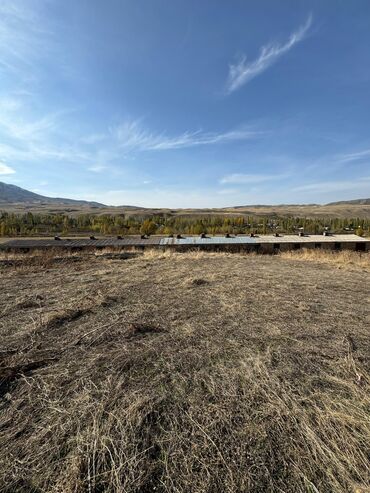 Сельхоз предприятия: Продаю Кошара, 110 соток, Действующий — 12