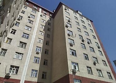 3 кв: 3 комнаты, 80 м², Элитка, 7 этаж, Евроремонт — 7