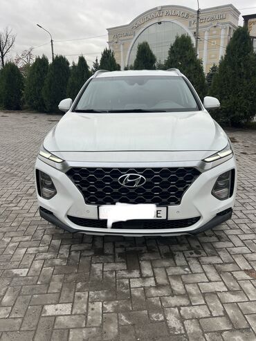 ланом: Hyundai Santa Fe: 2018 г., 2 л, Автомат, Дизель, Кроссовер