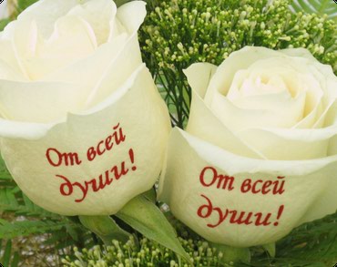 цветок санвиталия: НАКЛЕЙКИ ДЛЯ ЦВЕТОВ! ПУСТЬ ЦВЕТЫ ВСЕ СКАЖУТ ЗА ВАС!!! Существуют