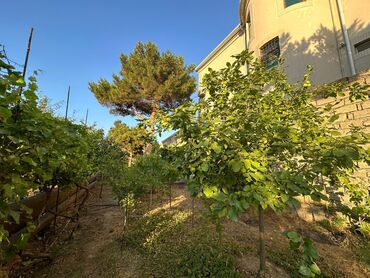 Həyət evləri və villaların satışı: Bakıxanov qəs. 9 otaq, 400 kv. m, Yeni təmirli — 9