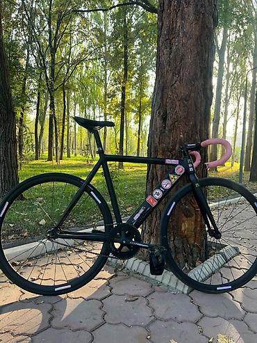 fix jixf: Срочно Срочно Collosi Colosi колоси Лоу про Lowpro Collosi low pro — 1