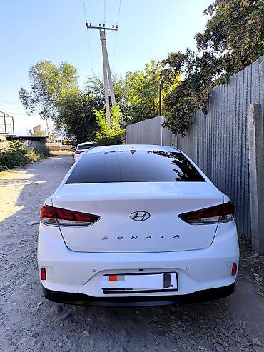 ващ 2109: Hyundai Sonata: 2018 г., 2 л, Автомат, Бензин, Седан — 3