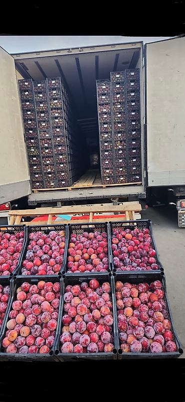 Ящики: Ящик, Новый — 12