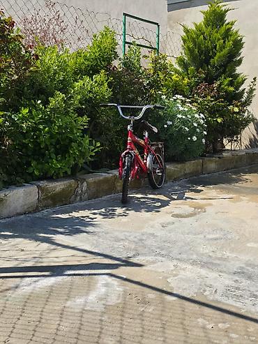 Velosipedlər: Uşaq velosipedi – 16" təkərli, şəhər və həyət sürüşləri üçün - Rəng — 1