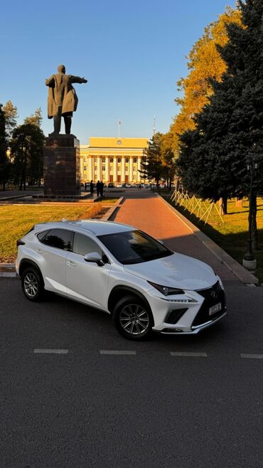 бампер лексус 330: Lexus NX: 2020 г., 2 л, Автомат, Бензин, Кроссовер