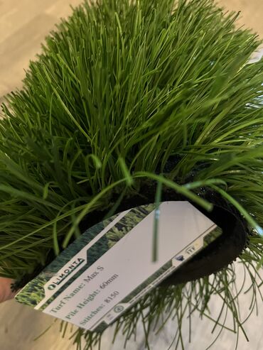 купить искусственный газон в бишкеке: Итальянский Искусственный газон "limonta" для футбольных полей(мини