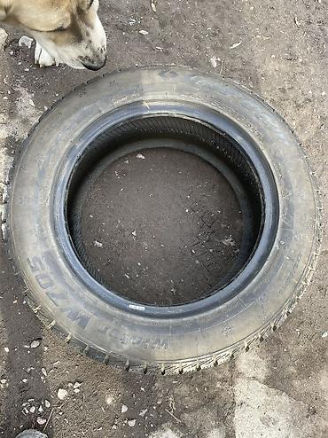 195 70 с: Зима в хорошем состоянии 225/55/16 — 5