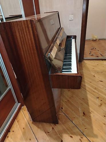Musiqi alətləri: Belarus piano
Təcili satılır, qiymətdə razılaşmaq olar — 1