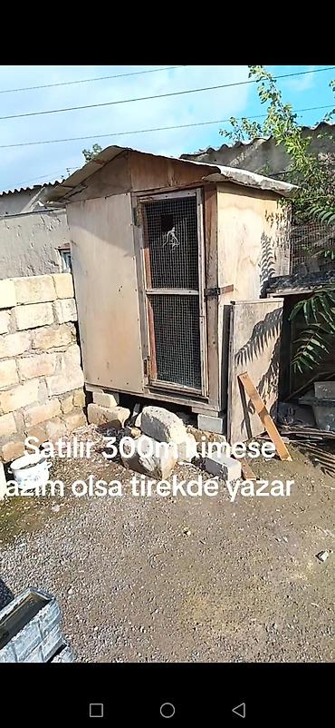 kend toyuqlari: Taxta toyuq/kənd quşları üçün daxıl - Material: qalın taxta və metal — 4