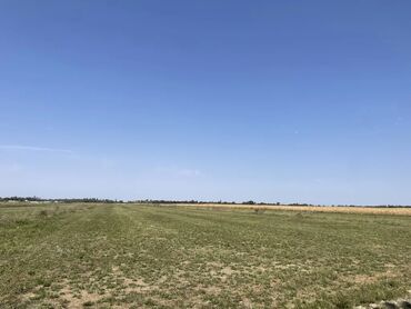 дом ошский рынок: 800 соток, Для сельского хозяйства, Генеральная доверенность, Тех паспорт