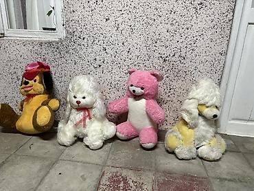havanese dream: Hər biri 10m hamısını alana endirim olacaqBöyük ölçülü yumşaq — 2