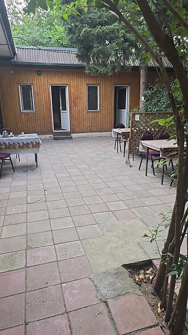 Отели, кафе, рестораны: Salam.Bakıxanovda yerləşən kafeyə xadimə qabyuyan lazımdı.İş saatı 11 — 1
