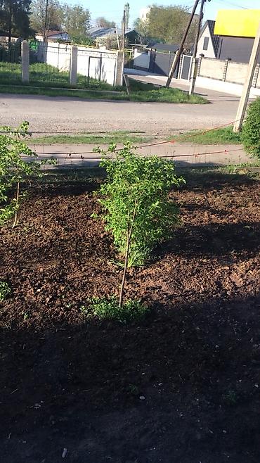 Продажа квартир: 4 комнаты, 88 м², 106 серия улучшенная, 1 этаж, Дизайнерский ремонт — 8