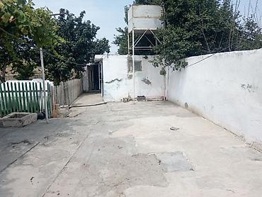 sabunçu kiraye heyet evleri: Samux Rayon tatlı kəndidə imamzadəyə yaxın yerdə Həyətyanı sahəsi olan — 3