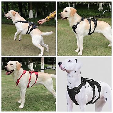 Зоотовары: ПРОДАЮ НОВЫЕ ПУЛЛЕРЫ ДЛЯ ДРЕССИРОВКИ И ИГРЫ С СОБАКАМИА ТАК ЖЕ — 13