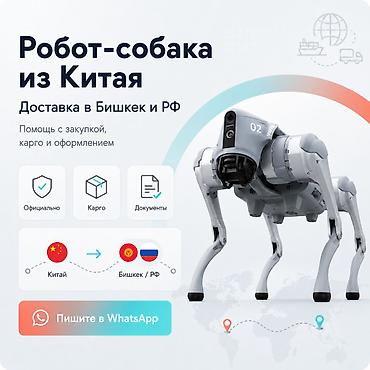 робототехники: Доставка робота-собаки из Китая в Бишкек и РФ Помощь с закупкой — 1