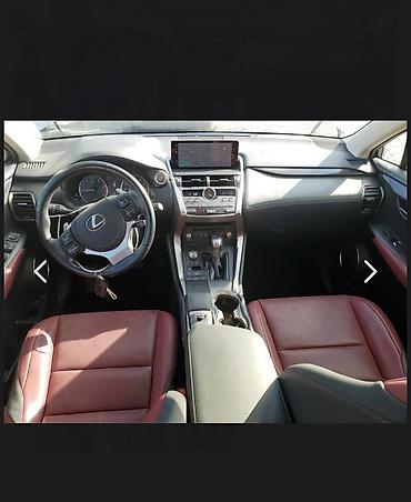 Toyota: Toyota RAV4: 2022 г., 2.5 л, Автомат, Бензин, Внедорожник — 19