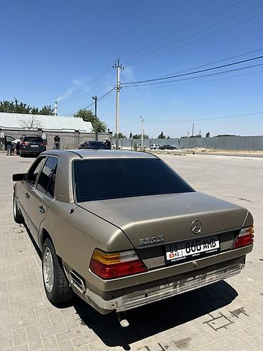 мэри: Mercedes-Benz W124: 1990 г., Седан — 5