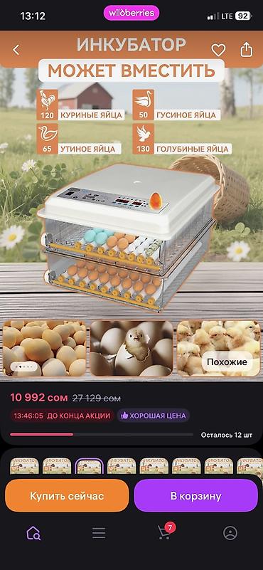 Продаю инкубатор на 120 яйц