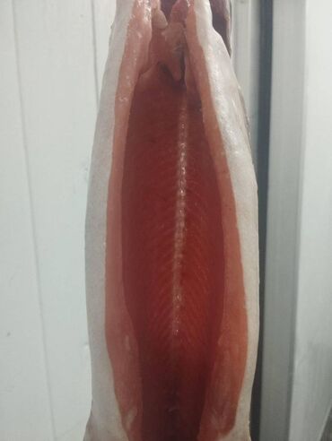 Рыба и морепродукты: Замороженный, До 1 кг, Самовывоз, Бесплатная доставка, Платная доставка at lalafo.kg — 6 Рыба и морепродукты: Замороженный, До 1 кг, Самовывоз, Бесплатная доставка, Платная доставка — 6