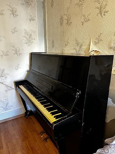 Pianolar: Oktava Pianino — 2