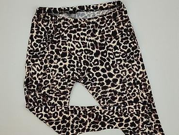 leginsy pitbull: Legginsy Sportowe damskie, rozmiar S — 1