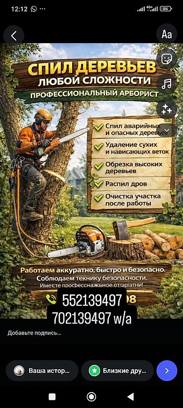 сухой фен: Спил деревьев любой сложности. Что выполняем: - Спил аварийных и — 2