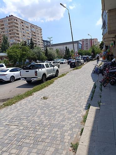 Bərbərlər: Bərbərlər | Saç kəsimi -da lalafo.az — 8 Bərbərlər: Bərbərlər | Saç kəsimi — 8
