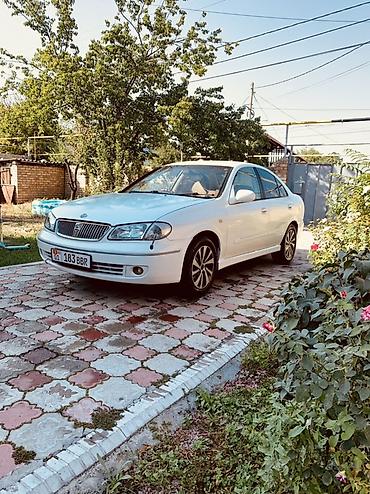 gac aion y: Nissan Bluebird: 2002 г., 1.8 л, Автомат, Бензин, Седан — 8